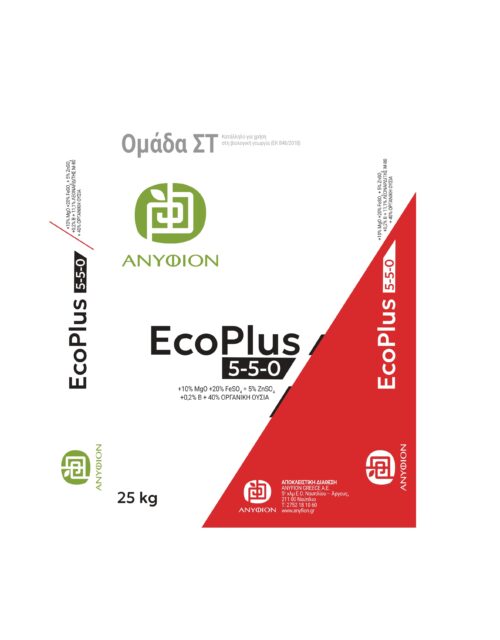 Anyfion ecoplus front page